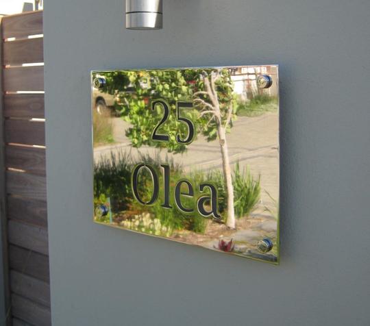 Mirror Polished Stainless Steel Cut-out Plate Signage with Mounting Spacers